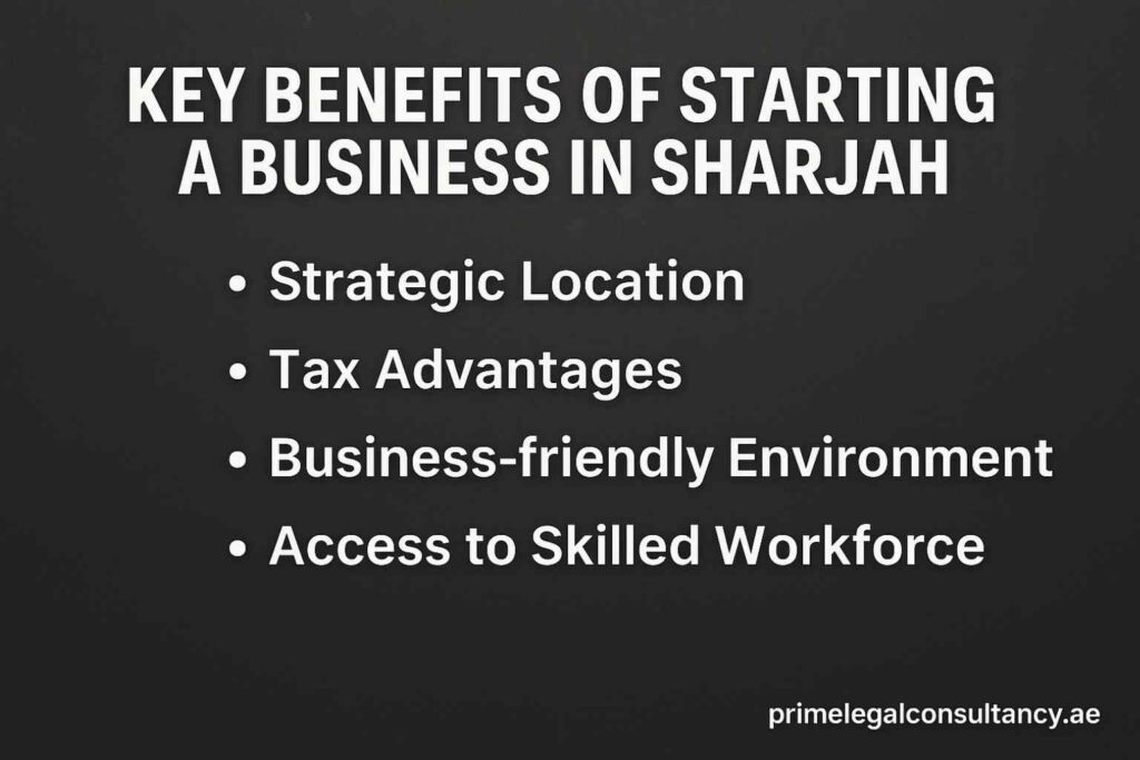 Key Benefits of Starting a Business in Sharjah 